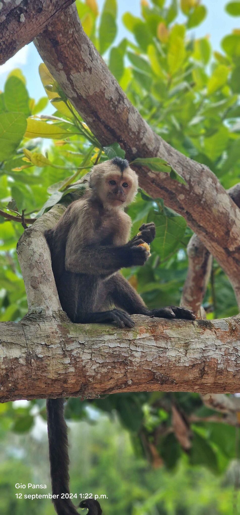 Nature Trek | Jungle Walk