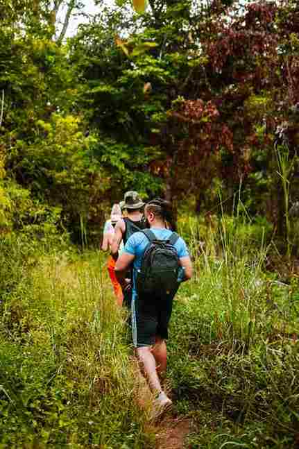 Nature Trek | Jungle Walk