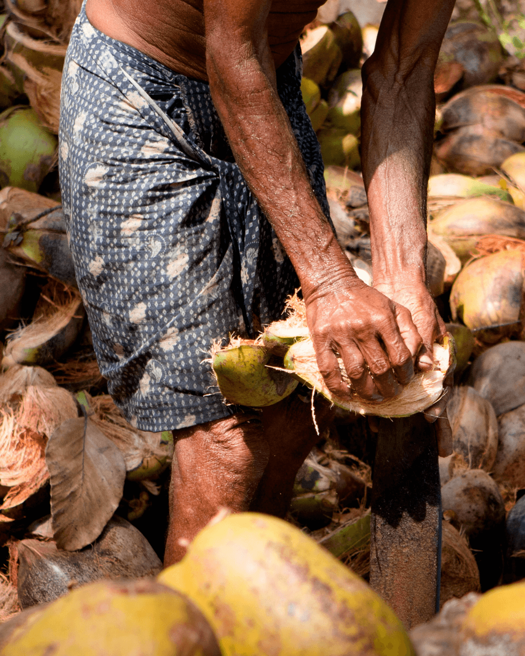 Coconut Oil Making